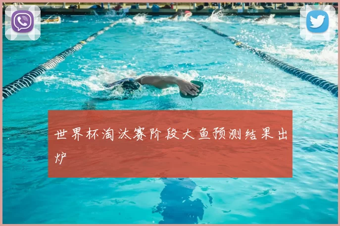 世界杯淘汰赛阶段大鱼预测结果出炉