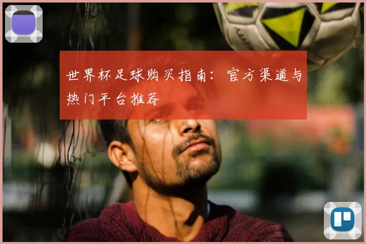 世界杯足球购买指南:官方渠道与热门平台推荐