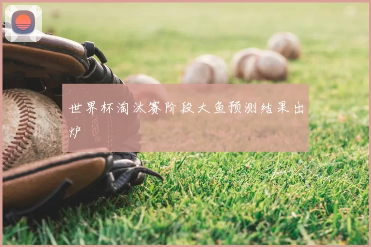 世界杯淘汰赛阶段大鱼预测结果出炉