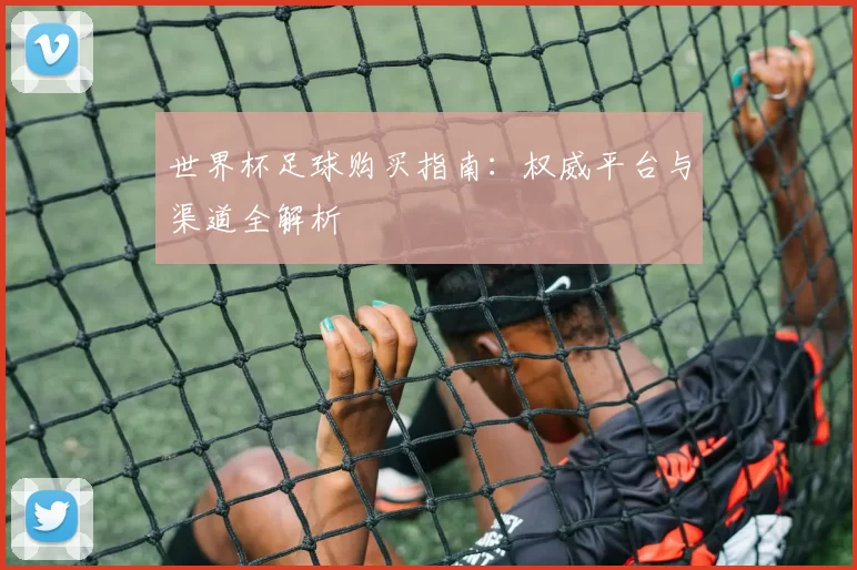 世界杯足球购买指南:权威平台与渠道全解析