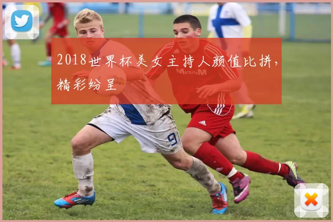 2018世界杯美女主持人颜值比拼,精彩纷呈
