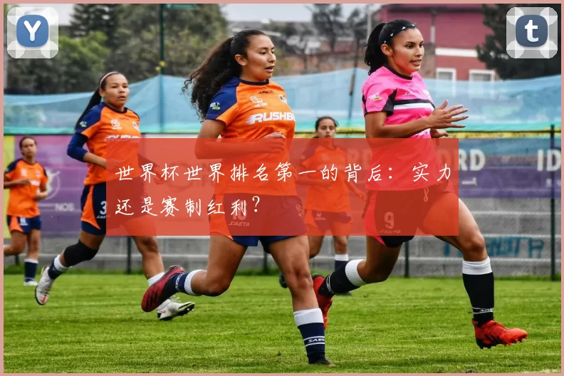 世界杯世界排名第一的背后:实力还是赛制红利?